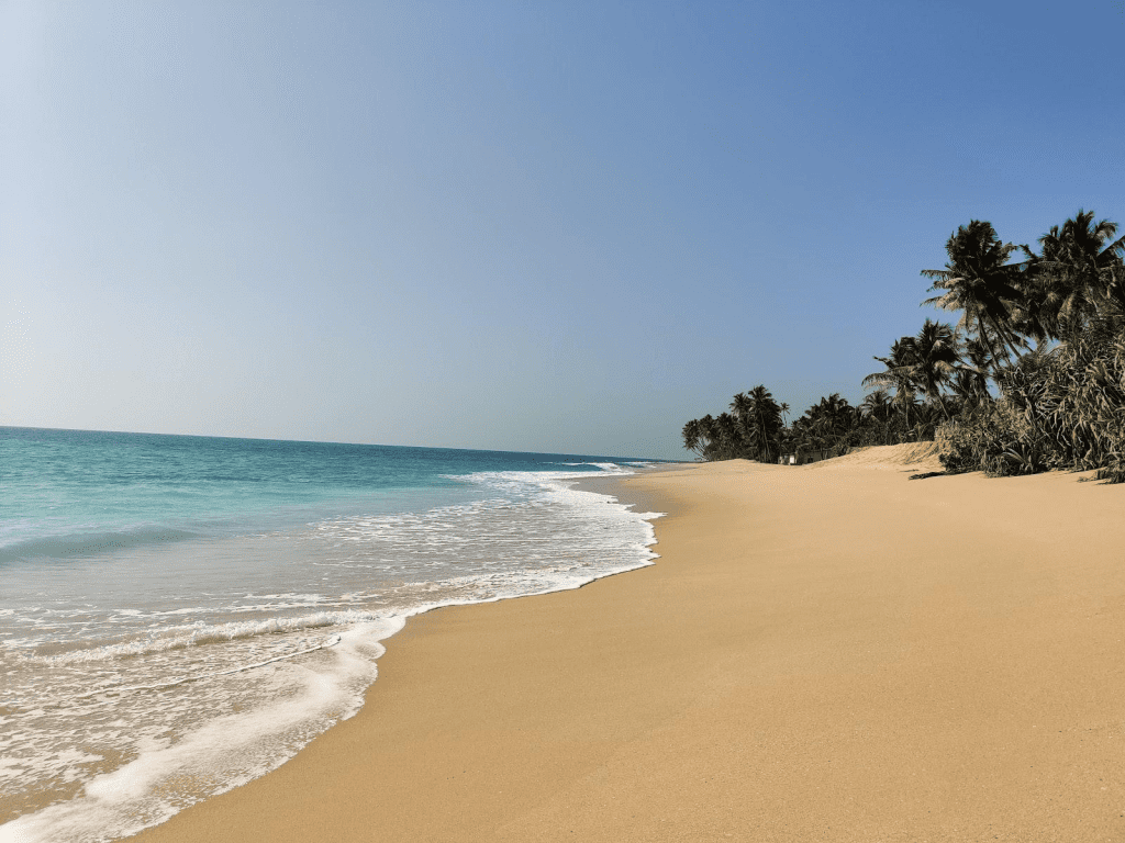 turtle-beach-hikkaduwa-westroo-travel
