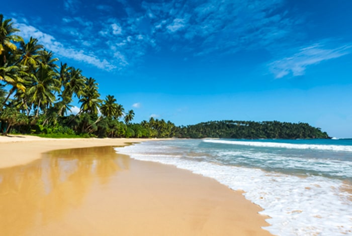 Trinco-westroo-travel