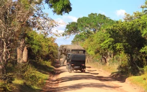 yala monsoon season-westroo-travel